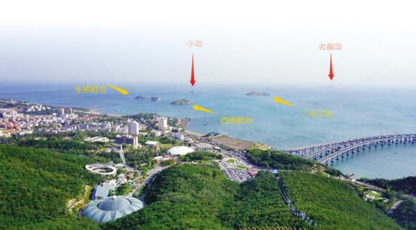 星海1.jpg